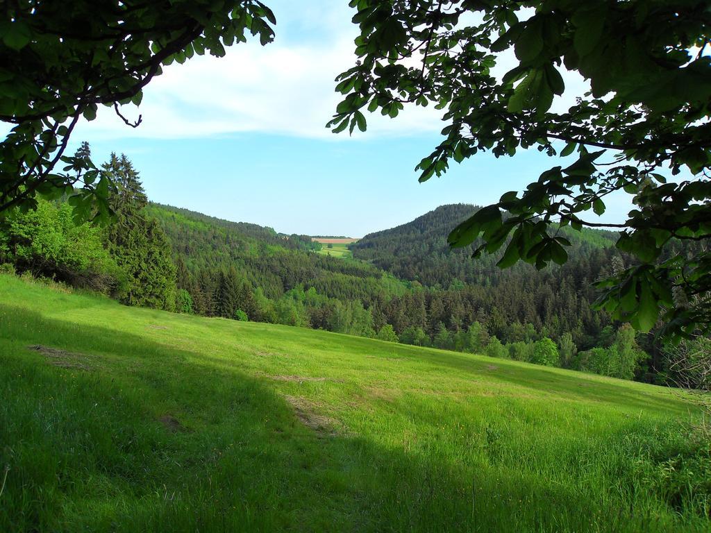 Ferienwohnung Wildenreuth Weidenberg ภายนอก รูปภาพ